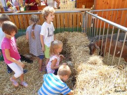 Közfoglalkoztatottak napja