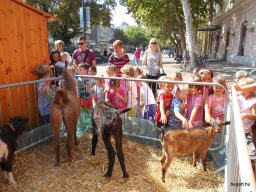 Közfoglalkoztatottak napja