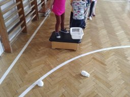 Medvenap az óvodában