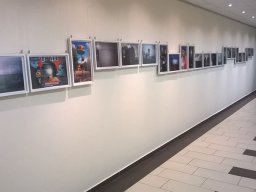 Krajcsó László fotóművész és Simon Debóra Eszter festőművész kiállítása