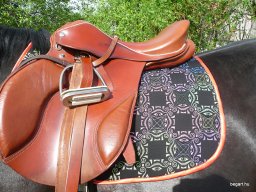 izzasztóNóri2008-2